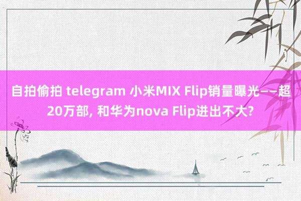 自拍偷拍 telegram 小米MIX Flip销量曝光——超20万部， 和华为nova Flip进出不大?