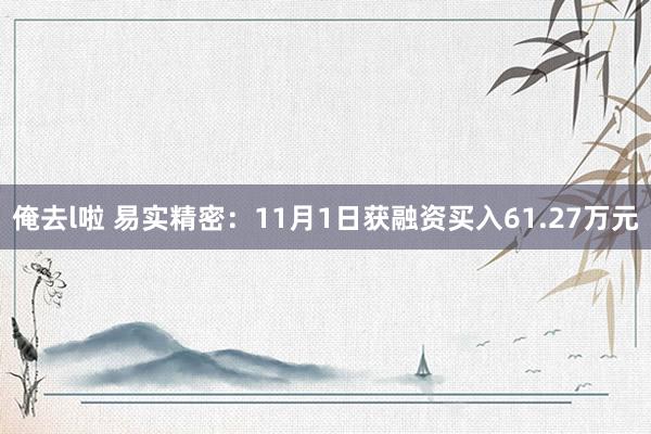 俺去l啦 易实精密：11月1日获融资买入61.27万元