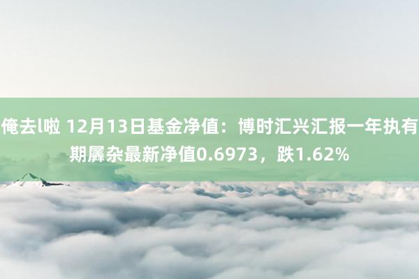 俺去l啦 12月13日基金净值：博时汇兴汇报一年执有期羼杂最新净值0.6973，跌1.62%