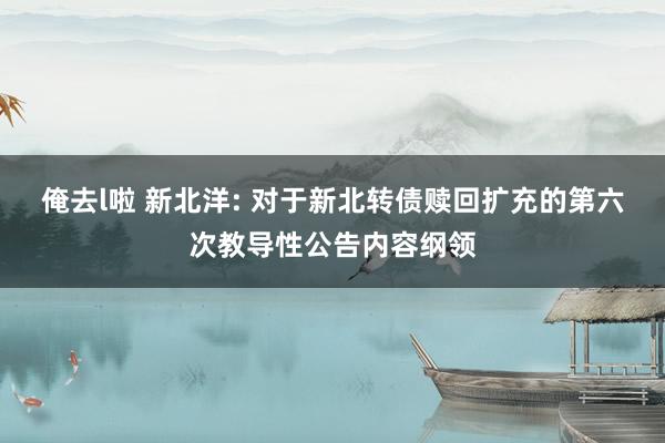 俺去l啦 新北洋: 对于新北转债赎回扩充的第六次教导性公告内容纲领