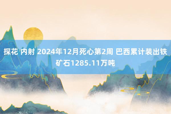 探花 内射 2024年12月死心第2周 巴西累计装出铁矿石1285.11万吨