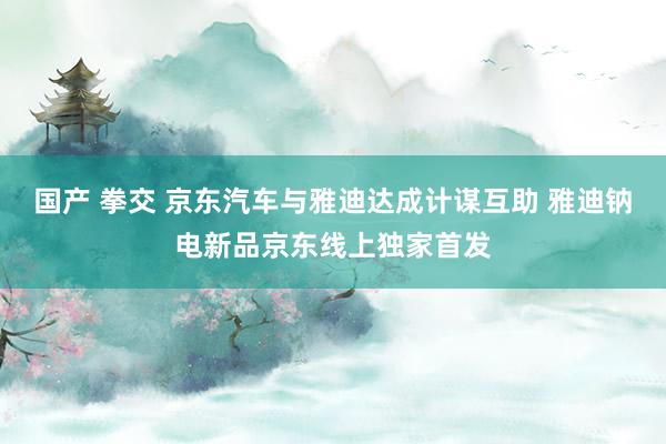 国产 拳交 京东汽车与雅迪达成计谋互助 雅迪钠电新品京东线上独家首发