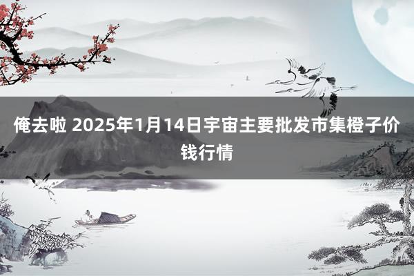 俺去啦 2025年1月14日宇宙主要批发市集橙子价钱行情