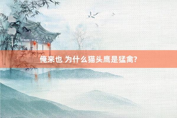 俺来也 为什么猫头鹰是猛禽?