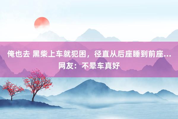 俺也去 黑柴上车就犯困，径直从后座睡到前座...网友：不晕车真好