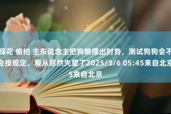探花 偷拍 主东说念主把狗粮摆出时势，测试狗狗会不会按规定，服从尽然失望了2025/3/6 05:45来自北京