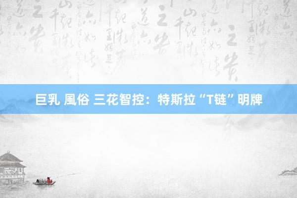 巨乳 風俗 三花智控：特斯拉“T链”明牌