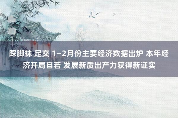 踩脚袜 足交 1—2月份主要经济数据出炉 本年经济开局自若 发展新质出产力获得新证实