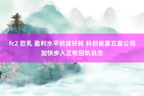 fc2 巨乳 盈利水平抓续好转 科创板第五套公司加快步入正轮回轨说念
