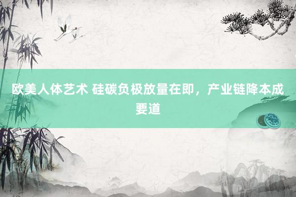 欧美人体艺术 硅碳负极放量在即，产业链降本成要道