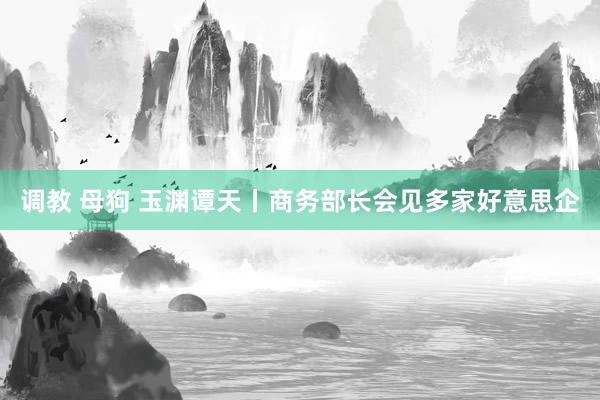 调教 母狗 玉渊谭天丨商务部长会见多家好意思企