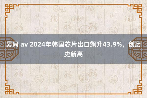 男同 av 2024年韩国芯片出口飙升43.9%，创历史新高