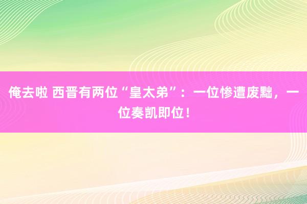 俺去啦 西晋有两位“皇太弟”：一位惨遭废黜，一位奏凯即位！