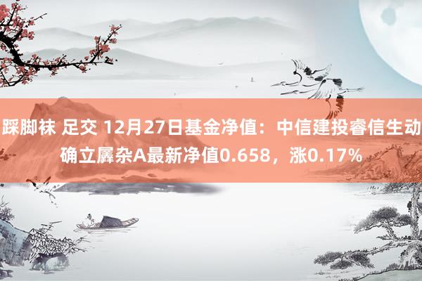 踩脚袜 足交 12月27日基金净值：中信建投睿信生动确立羼杂A最新净值0.658，涨0.17%