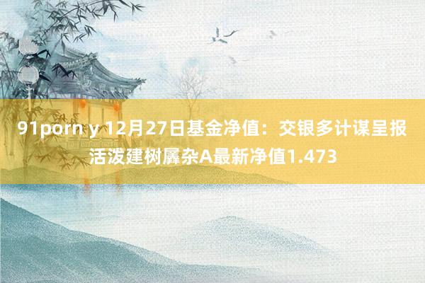 91porn y 12月27日基金净值：交银多计谋呈报活泼建树羼杂A最新净值1.473