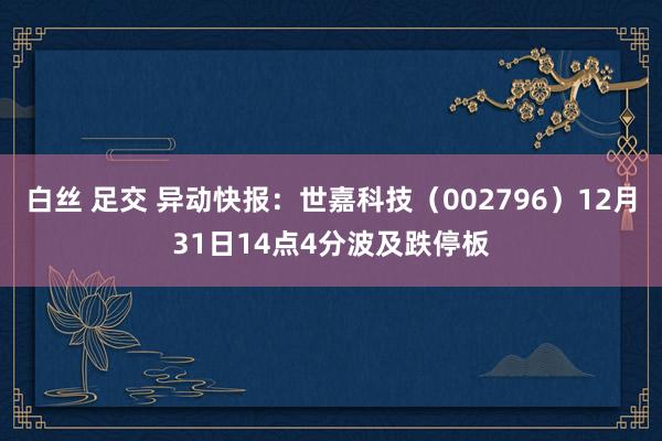 白丝 足交 异动快报：世嘉科技（002796）12月31日14点4分波及跌停板
