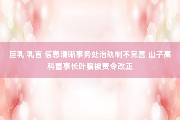 巨乳 乳首 信息清晰事务处治轨制不完善 山子高科董事长叶骥被责令改正