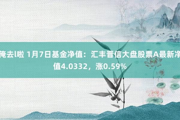 俺去l啦 1月7日基金净值：汇丰晋信大盘股票A最新净值4.0332，涨0.59%