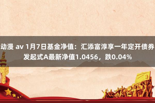动漫 av 1月7日基金净值：汇添富淳享一年定开债券发起式A最新净值1.0456，跌0.04%
