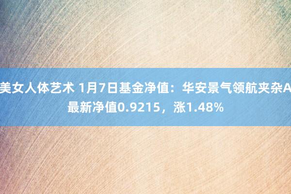 美女人体艺术 1月7日基金净值：华安景气领航夹杂A最新净值0.9215，涨1.48%