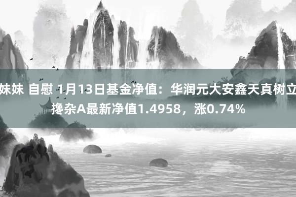 妹妹 自慰 1月13日基金净值：华润元大安鑫天真树立搀杂A最新净值1.4958，涨0.74%