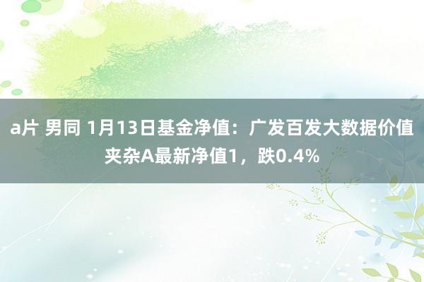 a片 男同 1月13日基金净值：广发百发大数据价值夹杂A最新净值1，跌0.4%
