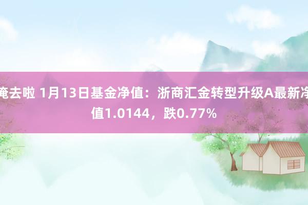 俺去啦 1月13日基金净值：浙商汇金转型升级A最新净值1.0144，跌0.77%