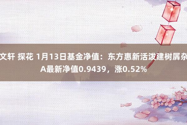 文轩 探花 1月13日基金净值：东方惠新活泼建树羼杂A最新净值0.9439，涨0.52%
