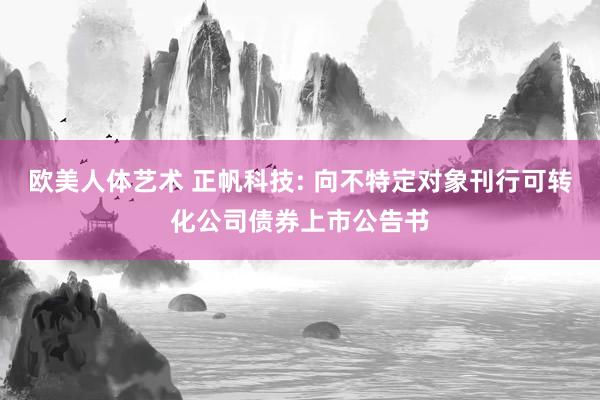 欧美人体艺术 正帆科技: 向不特定对象刊行可转化公司债券上市公告书