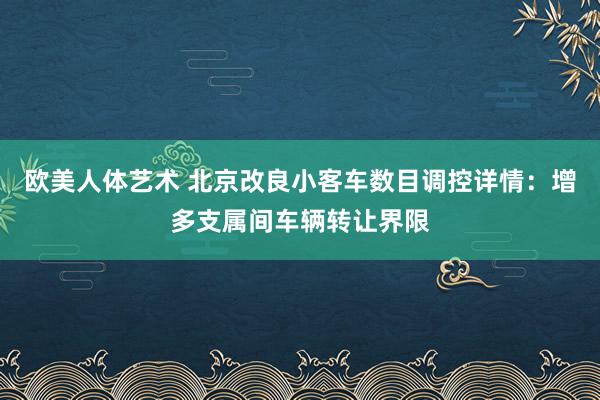 欧美人体艺术 北京改良小客车数目调控详情：增多支属间车辆转让界限