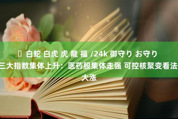 ✨白蛇 白虎 虎 龍 福 /24k 御守り お守り A股三大指数集体上升：医药股集体走强 可控核聚变看法大涨