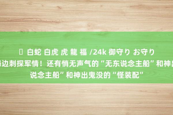 ✨白蛇 白虎 虎 龍 福 /24k 御守り お守り 间谍乔妆搭客在海边刺探军情！还有悄无声气的“无东说念主船”和神出鬼没的“怪装配”