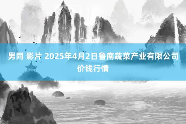男同 影片 2025年4月2日鲁南蔬菜产业有限公司价钱行情
