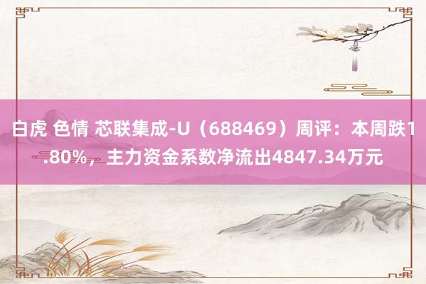 白虎 色情 芯联集成-U（688469）周评：本周跌1.80%，主力资金系数净流出4847.34万元