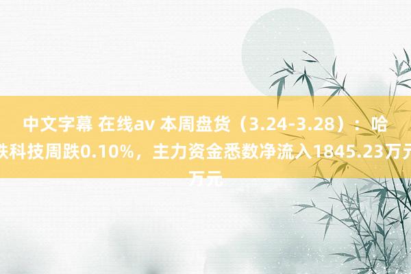 中文字幕 在线av 本周盘货（3.24-3.28）：哈铁科技周跌0.10%，主力资金悉数净流入1845.23万元
