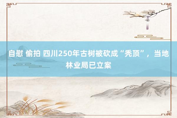 自慰 偷拍 四川250年古树被砍成“秃顶”，当地林业局已立案