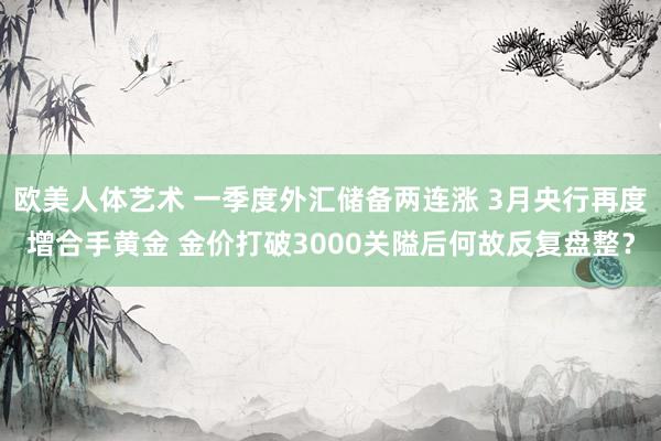 欧美人体艺术 一季度外汇储备两连涨 3月央行再度增合手黄金 金价打破3000关隘后何故反复盘整？