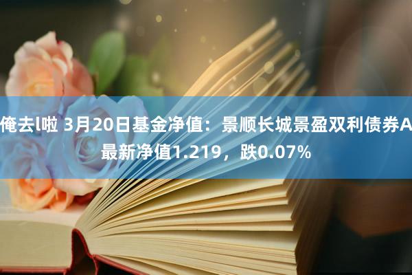 俺去l啦 3月20日基金净值：景顺长城景盈双利债券A最新净值1.219，跌0.07%