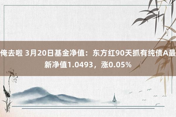 俺去啦 3月20日基金净值：东方红90天抓有纯债A最新净值1.0493，涨0.05%