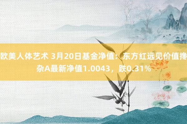欧美人体艺术 3月20日基金净值：东方红远见价值搀杂A最新净值1.0043，跌0.31%