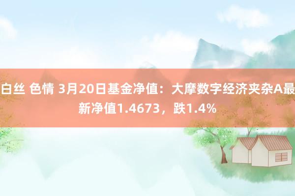 白丝 色情 3月20日基金净值：大摩数字经济夹杂A最新净值1.4673，跌1.4%