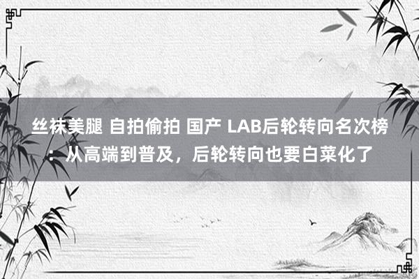 丝袜美腿 自拍偷拍 国产 LAB后轮转向名次榜：从高端到普及，后轮转向也要白菜化了
