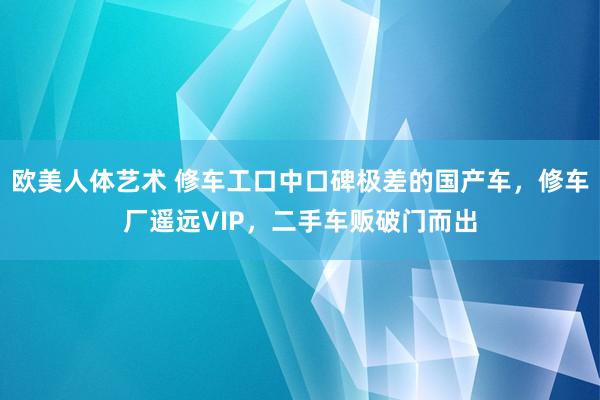 欧美人体艺术 修车工口中口碑极差的国产车，修车厂遥远VIP，二手车贩破门而出