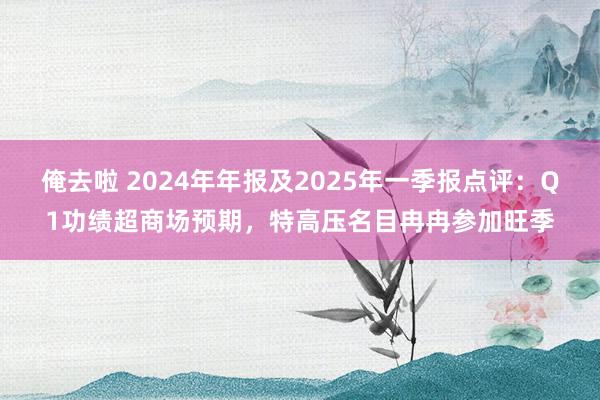 俺去啦 2024年年报及2025年一季报点评:Q1功绩超商场预期,特高压名目冉冉参加旺季