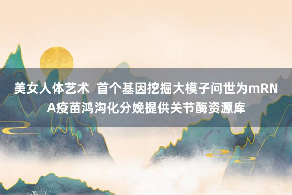 美女人体艺术  首个基因挖掘大模子问世为mRNA疫苗鸿沟化分娩提供关节酶资源库