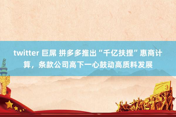 twitter 巨屌 拼多多推出“千亿扶捏”惠商计算，条款公司高下一心鼓动高质料发展