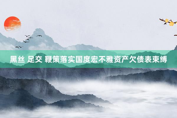 黑丝 足交 鞭策落实国度宏不雅资产欠债表束缚