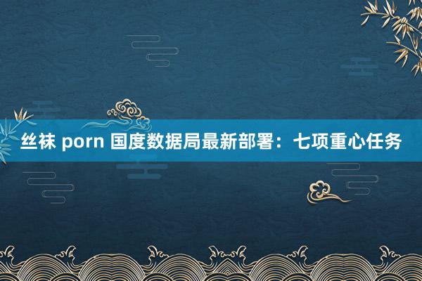 丝袜 porn 国度数据局最新部署：七项重心任务