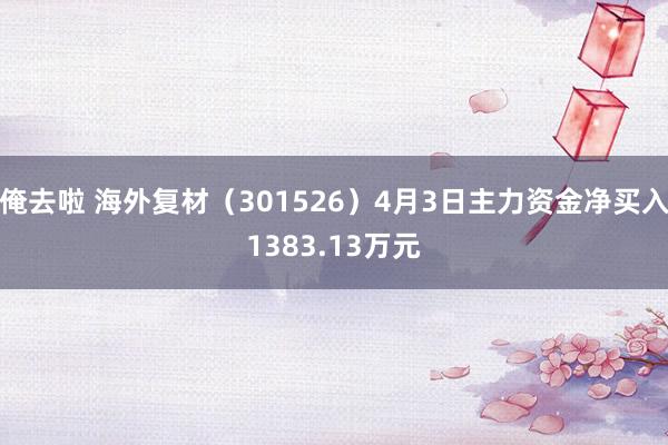 俺去啦 海外复材（301526）4月3日主力资金净买入1383.13万元