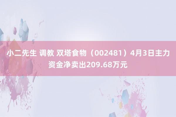 小二先生 调教 双塔食物（002481）4月3日主力资金净卖出209.68万元